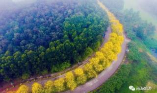 仙湖度假村烧烤炉租一个要多少钱 仙湖度假村